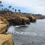 ASSR San Diego, February 13-15, 2025